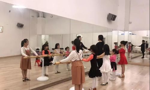 廣州足聲藝術(shù)教育 探析其特色與市場定位